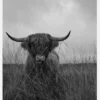 It Wasnt Me Canvastavla (30x40 cm)