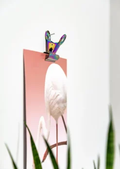 KAILA Poster Clip Rainbow 20 mm - 4-p