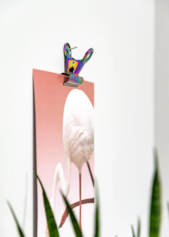 KAILA Poster Clip Rainbow 20 mm - 4-p