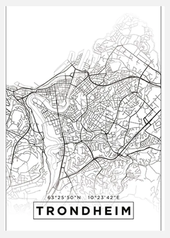 Karta - Trondheim - Vit Canvastavla (30x40 cm)