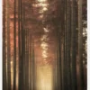 Light Burning Canvastavla (30x40 cm)