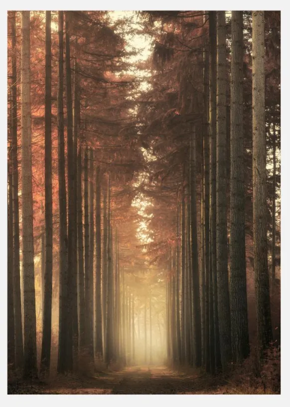 Light Burning Canvastavla (30x40 cm)