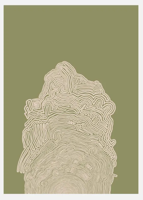 Line Drawing Green Abstract Canvastavla (30x40 cm)