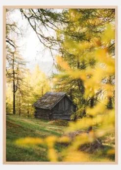 Lonely Cabbin Poster (21x29.7 cm (A4))