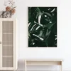Monstera Plant I Poster (21x29.7 cm (A4))
