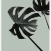 Monstera Teal II Canvastavla (30x40 cm)