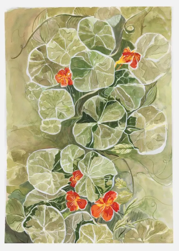 Nasturtium Tapestry Canvastavla (30x40 cm)