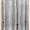 Novembre 2014 Poster (21x29.7 cm (A4))