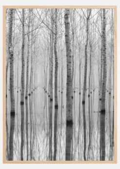 Novembre 2014 Poster (21x29.7 cm (A4))