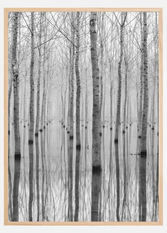 Novembre 2014 Poster (21x29.7 cm (A4))