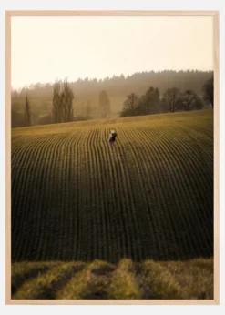 On the fields Poster (21x29.7 cm (A4))