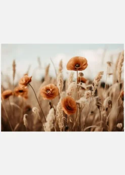 Orange Poppy Field Canvastavla (30x40 cm)