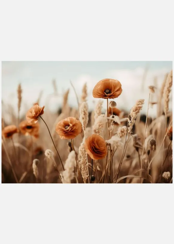 Orange Poppy Field Canvastavla (30x40 cm)