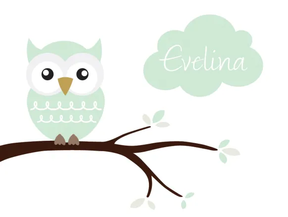 Owl Name Poster Light Green (21x29,7 cm (A4))