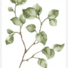 Painted Leaves Canvastavla (30x40 cm)