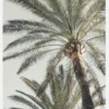 Palm 005 Canvastavla (30x40 cm)
