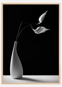 Passionately Poster (21x29.7 cm (A4))
