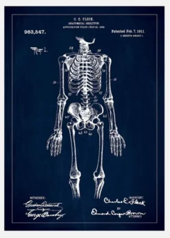 Patentritning - Anatomiskt Skelett I - Blå Canvastavla (30x40 cm)