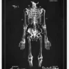 Patentritning - Anatomiskt Skelett I - Svart Canvastavla (30x40 cm)
