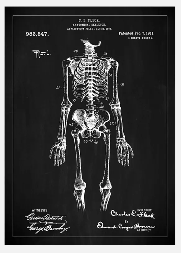 Patentritning - Anatomiskt Skelett I - Svart Canvastavla (30x40 cm)