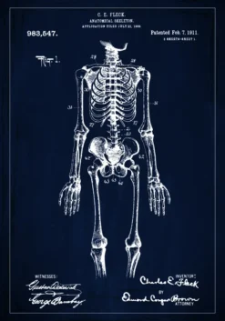 Patentritning - Anatomiskt skelett I - Blå Poster (21x29.7 cm (A4))