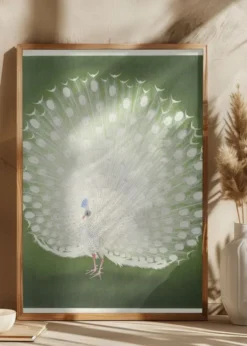 Peacock Poster (21x29.7 cm (A4))