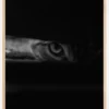 Peeking cat Poster (21x29.7 cm (A4))