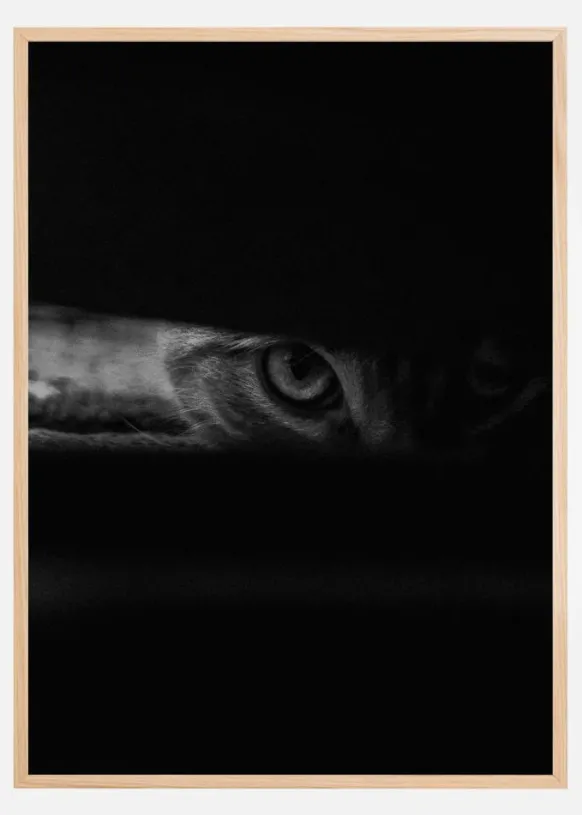Peeking cat Poster (21x29.7 cm (A4))