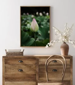 Peony Field Poster (21x29.7 cm (A4))