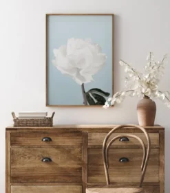 Peony Poster (21x29.7 cm (A4))