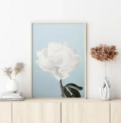 Peony Poster (21x29.7 cm (A4))