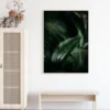 Plant Poster (21x29.7 cm (A4))