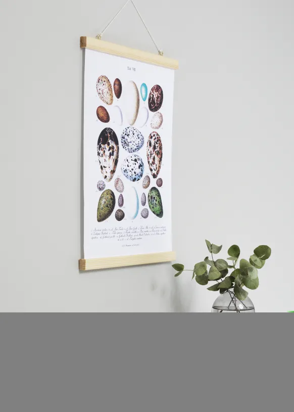 Posterhängare Nature - 21 cm