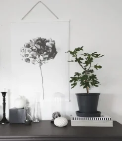 Posterhängare Vit - 40 cm