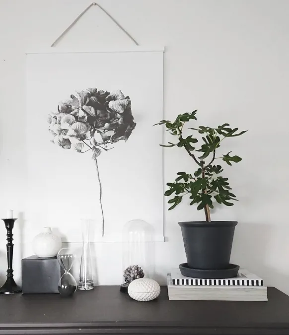 Posterhängare Vit - 40 cm