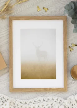 Premium by BGA Glas Ek 60x80 cm - Passepartout Vit 50x70 cm