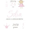 Princess Birth Poster Pink (21x29,7 cm (A4))