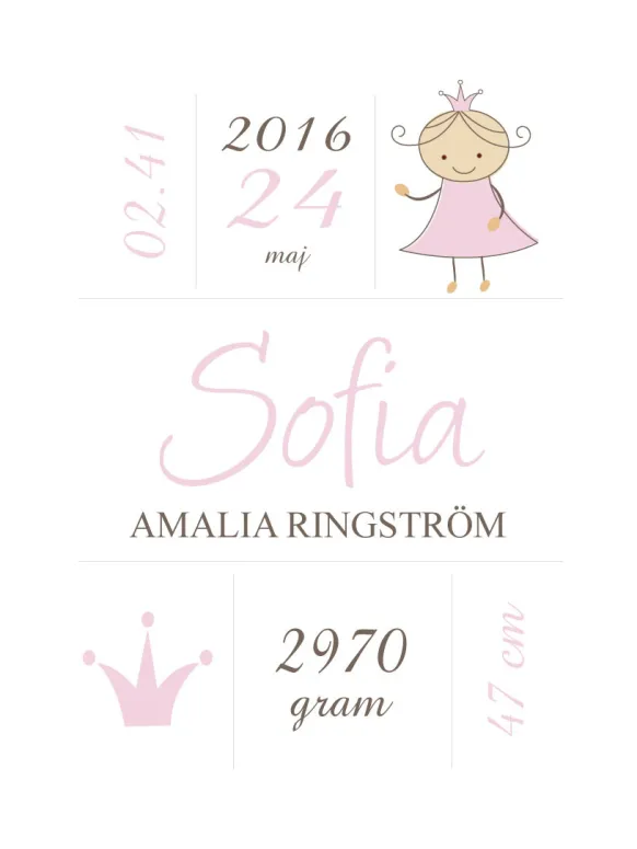 Princess Birth Poster Pink (21x29,7 cm (A4))