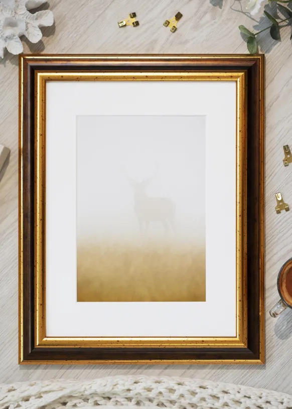Ram Aberystwyth Guld 40x60 cm
