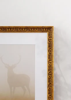 Ram Amber Guld 50x70 cm