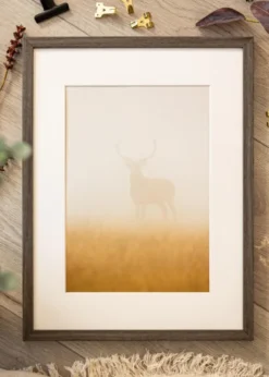 Ram Ares Grey Oak 50x65 cm