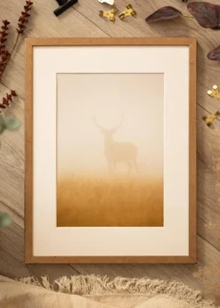 Ram Ares Mässing 50x50 cm - Passepartout Vit 15x15 inches