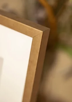 Ram Ares Mässing 30x30 cm - Passepartout Vit 20x20 cm