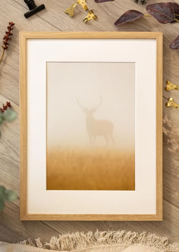 Ram Ares Naturlig Ek 50x65 cm - Passepartout Vit 40x55 cm