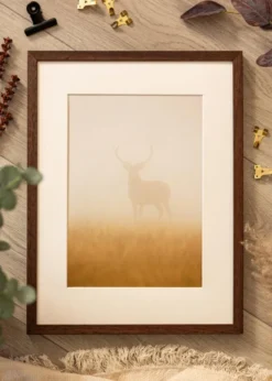 Ram Ares Teak 20x25 cm