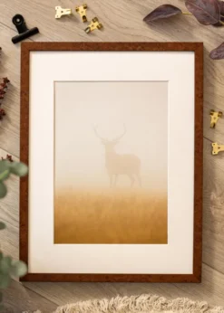 Ram Ares Valnöt 45x60 cm - Passepartout Vit 35x48 cm
