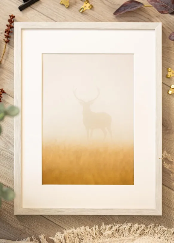 Ram Ares Vit Ek 45x60 cm - Passepartout Vit 13x18 inches
