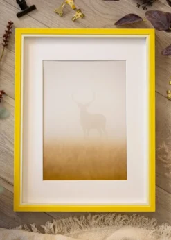 Ram Diana Gul 56x71 cm - Passepartout Vit 48x60 cm