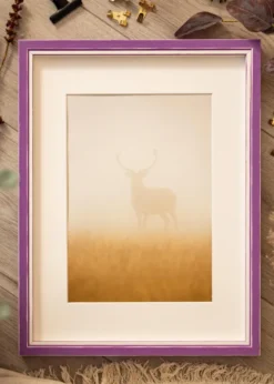 Ram Diana Lila 45x60 cm - Passepartout Vit 34x50 cm