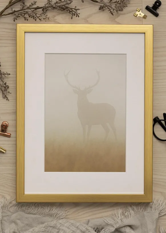 Ram Falun Guld 50x70 cm - Dubbel Passepartout Vit 42x59,4 cm (A2)